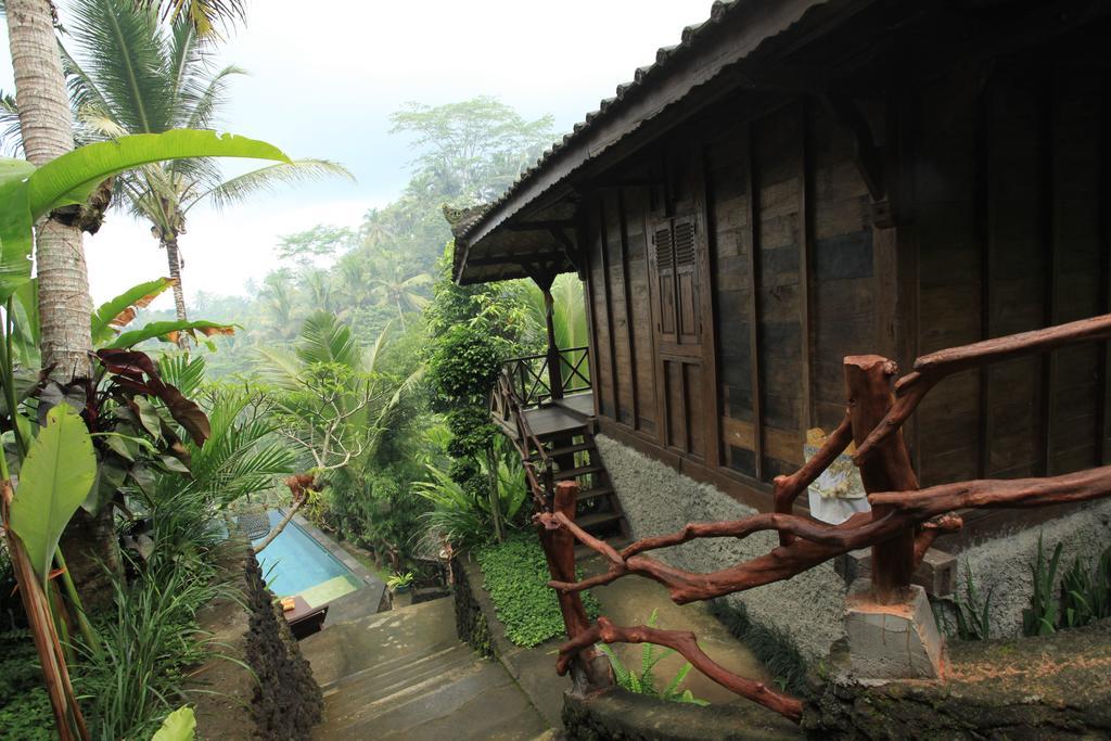 Ubud Jungle Holy Water מראה חיצוני תמונה